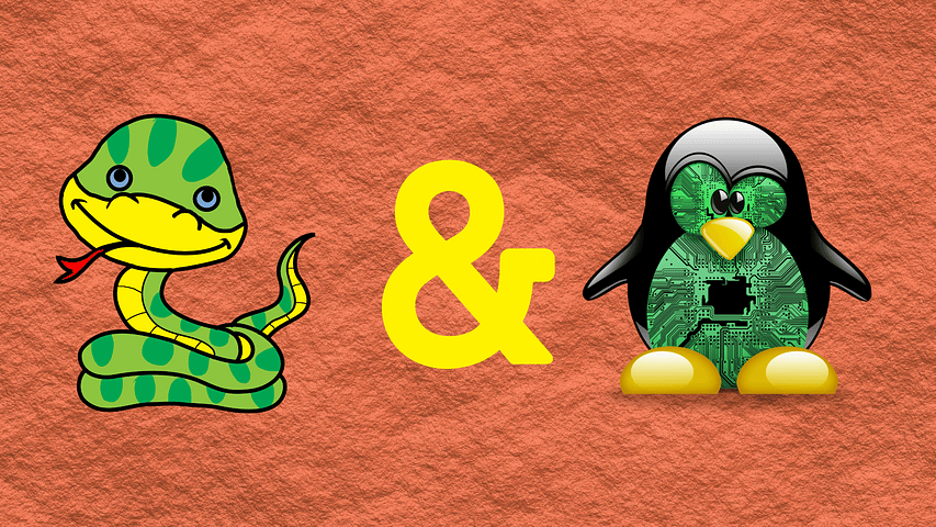 anaconda and penguin on a brick textured background