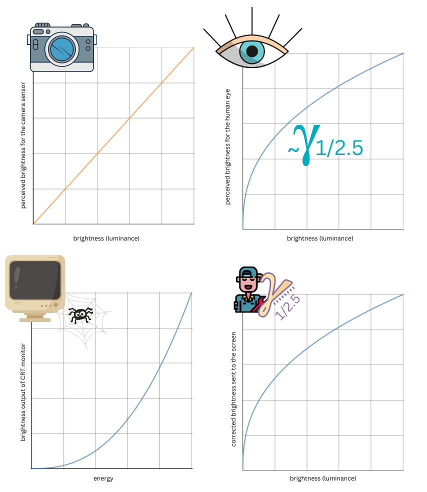 Gamma correction — In contrast to a common camera sensor, the human vision and CRT screens don’t handle light linearly. Four plots are shown (from clock-wise from top left: a camera sensor, the human eye, human perception and computer screen.