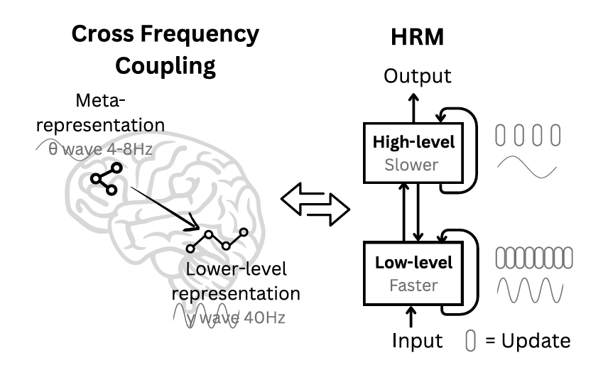 Understanding Hierarchical Reasoning Model (HRM)