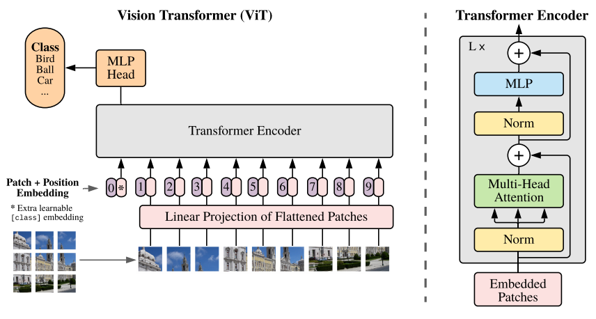 ViT 모델의 구조