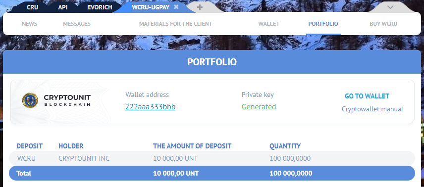 Section Portfolio in the UGPay Group account
