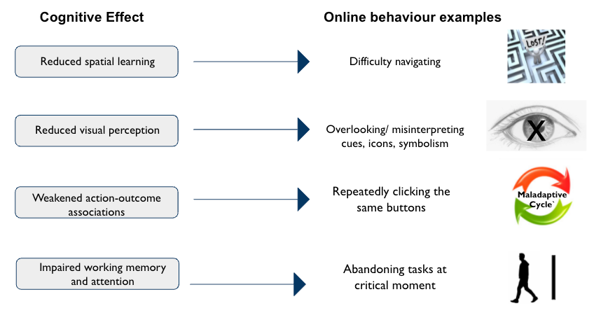 Cognitive effects and example of subsequent online behaviours