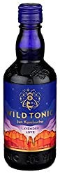 wild tonic kombucha