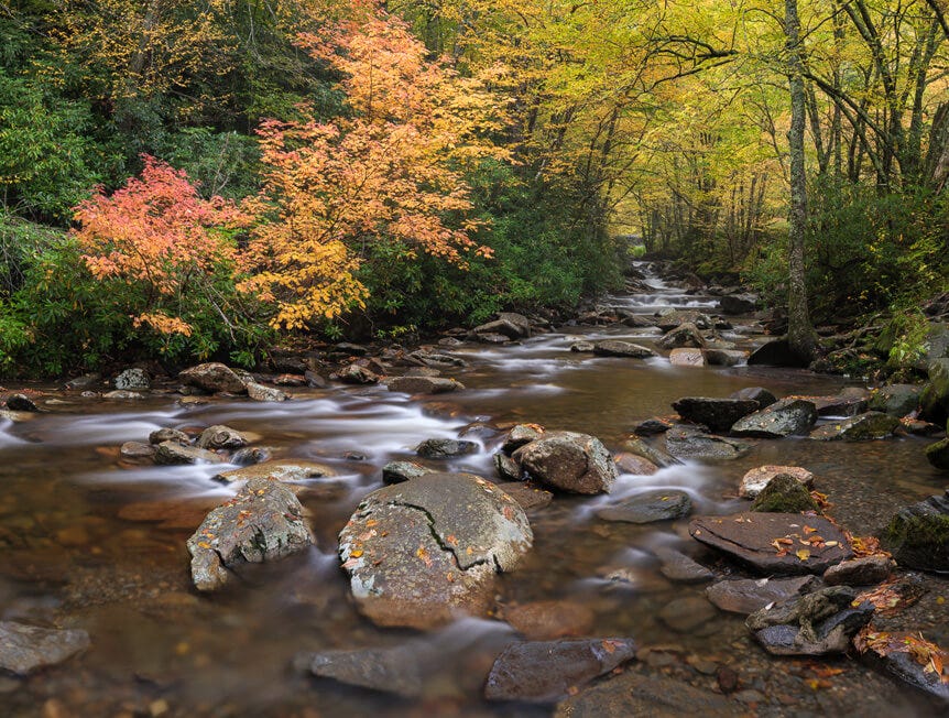 Shallow, rocky river lined by colorful fall trees