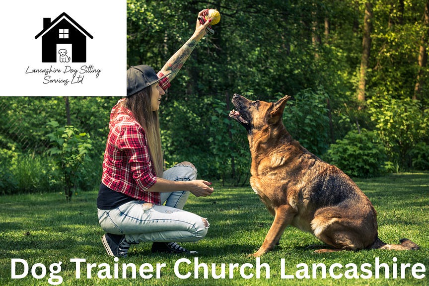 Dog Trainer Church Lancashire