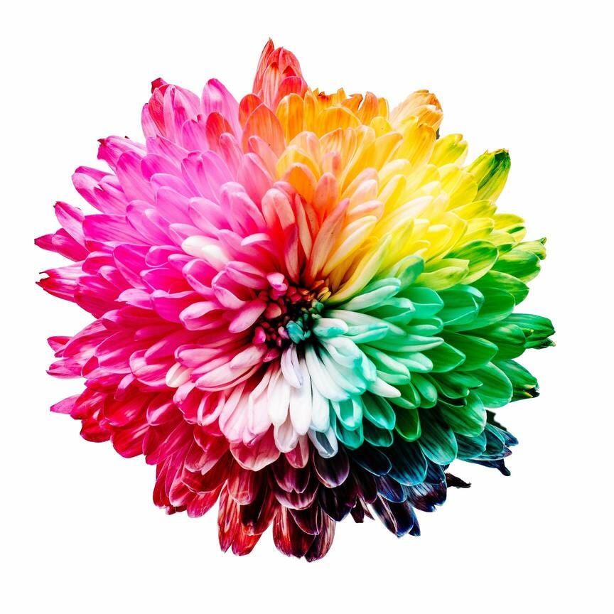 a rainbow-colored flower to represent a brand story