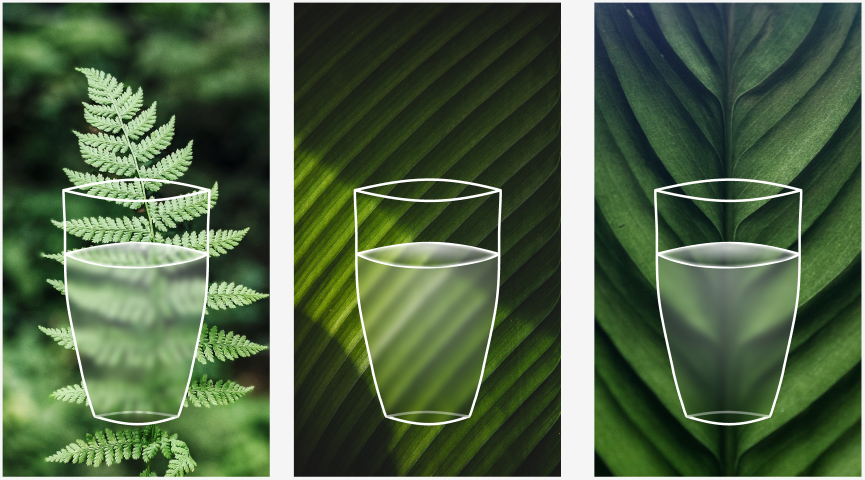 water glasses on background images of green leaves