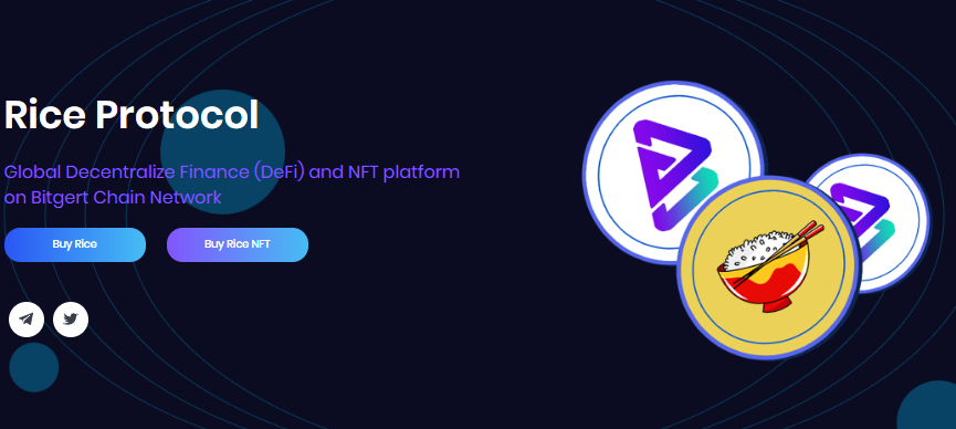 Rice Protocol — A New DeFi and NFT Platform That Uses The Bitgert Chain Technology
