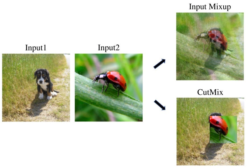 Image samples of existing mixup methods. Input mixup does not preserve local statistics (e.g., color), and CutMix does not preserve salient information.