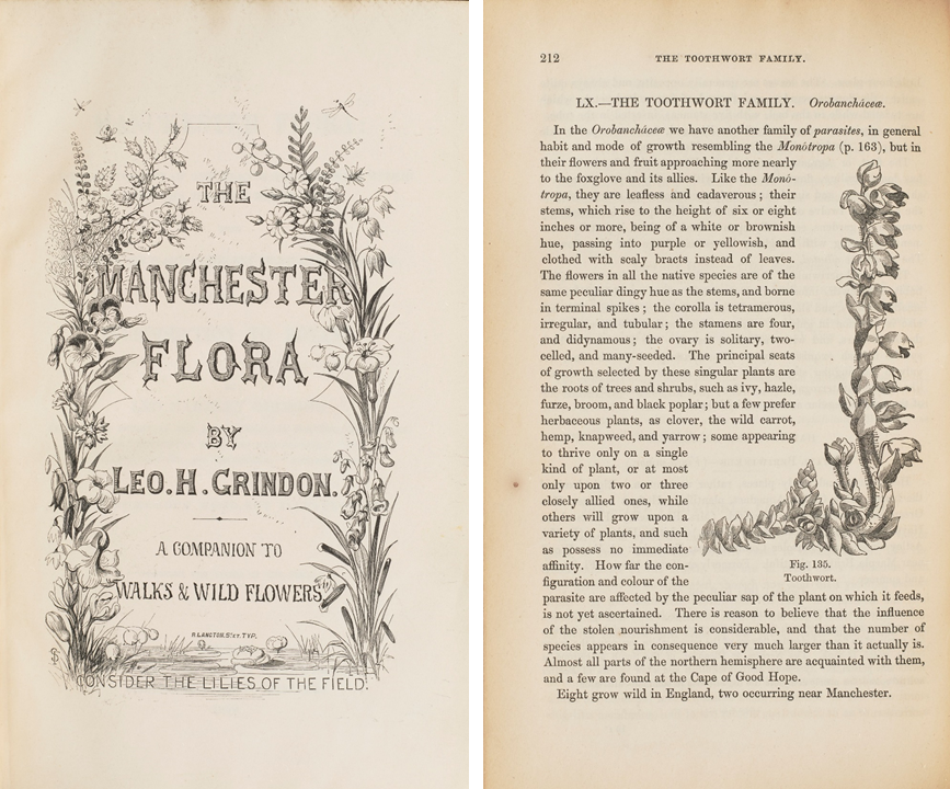 Two adjacent images. On the left an engraved title-page with floral border. On the right, description and engraving of toothwort plant.
