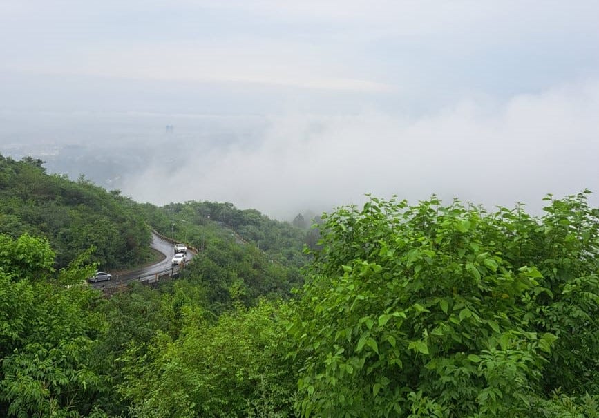 Trees and bushes on top of a hill with clouds in the background and a few cars driving on a winding road moving upwards.