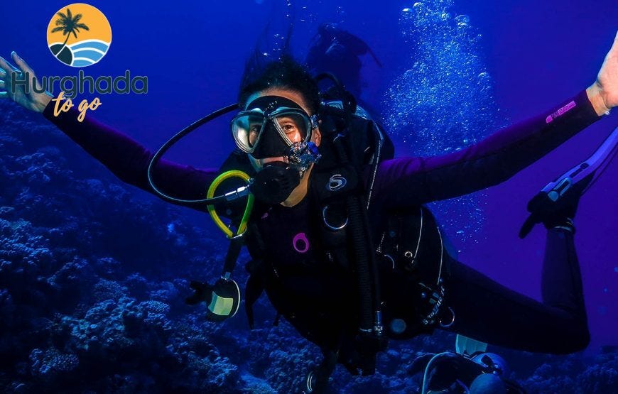 Best snorkeling spots in Hurghada for beginners serve as the perfect gateway for travelers eager to…