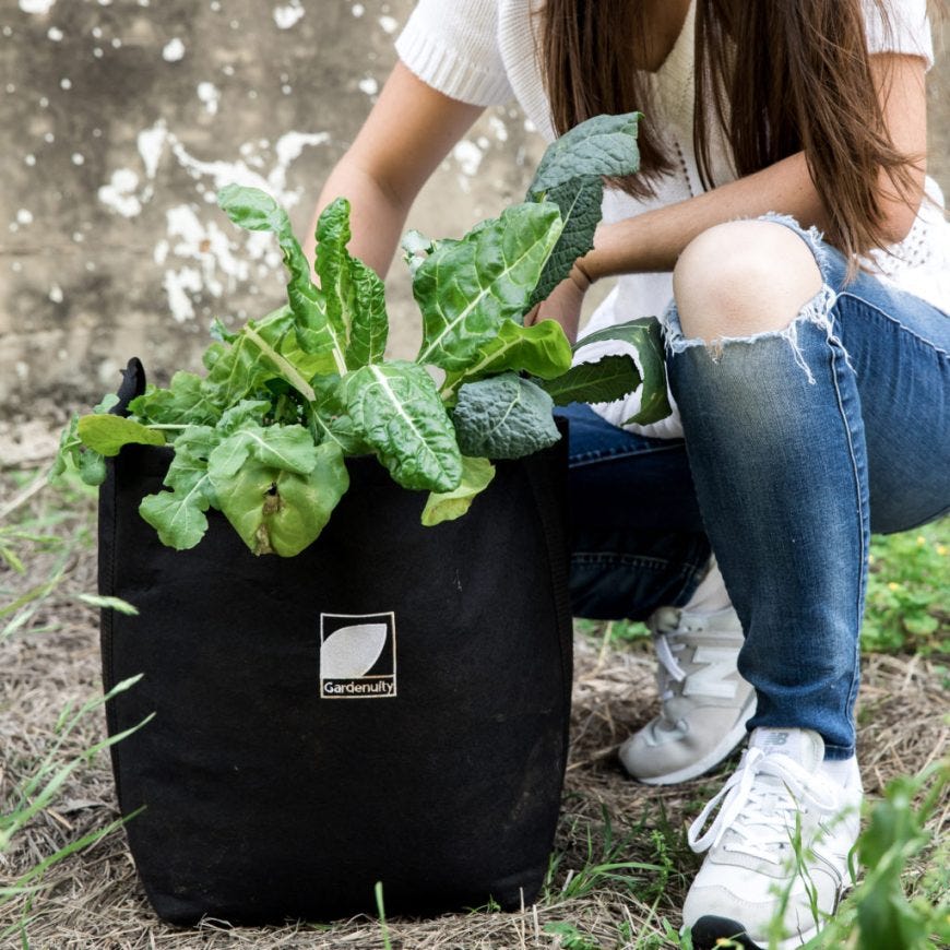 Gardening While Staying Home