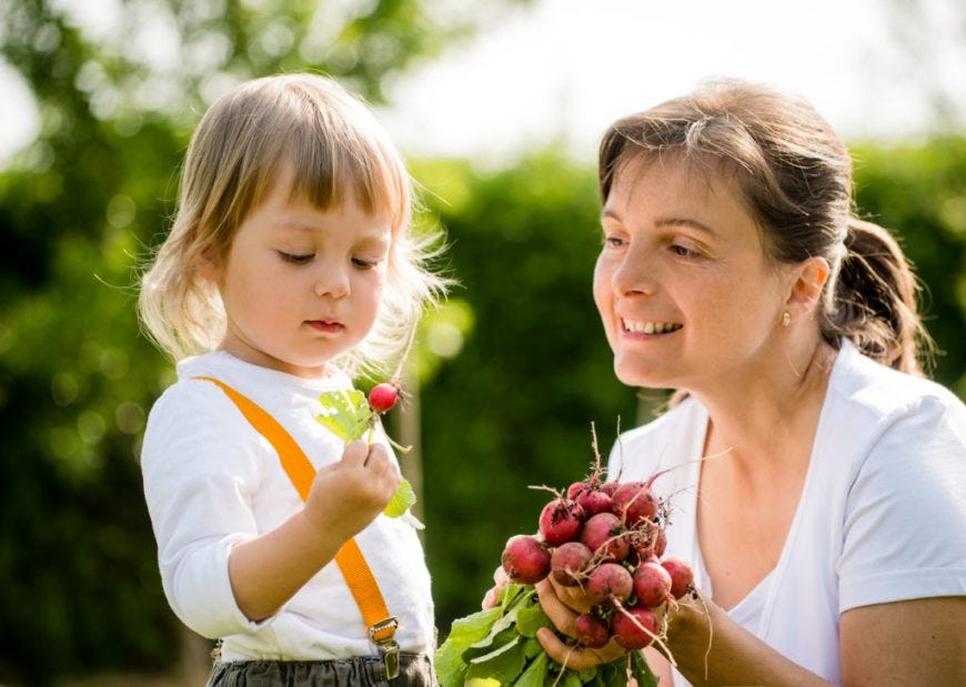 Mother & Daughter Harvesting Radishes