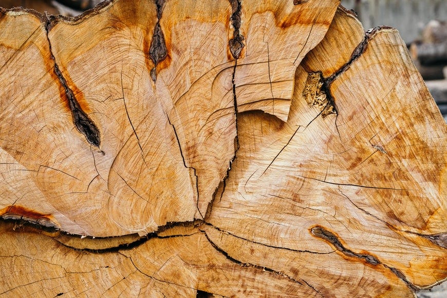 Brown log of wood