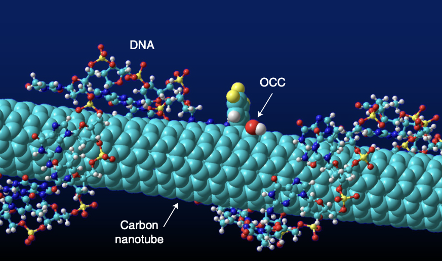 Illustration shows turquoise-colored cylinder with strands of colorful DNA twisting around it.