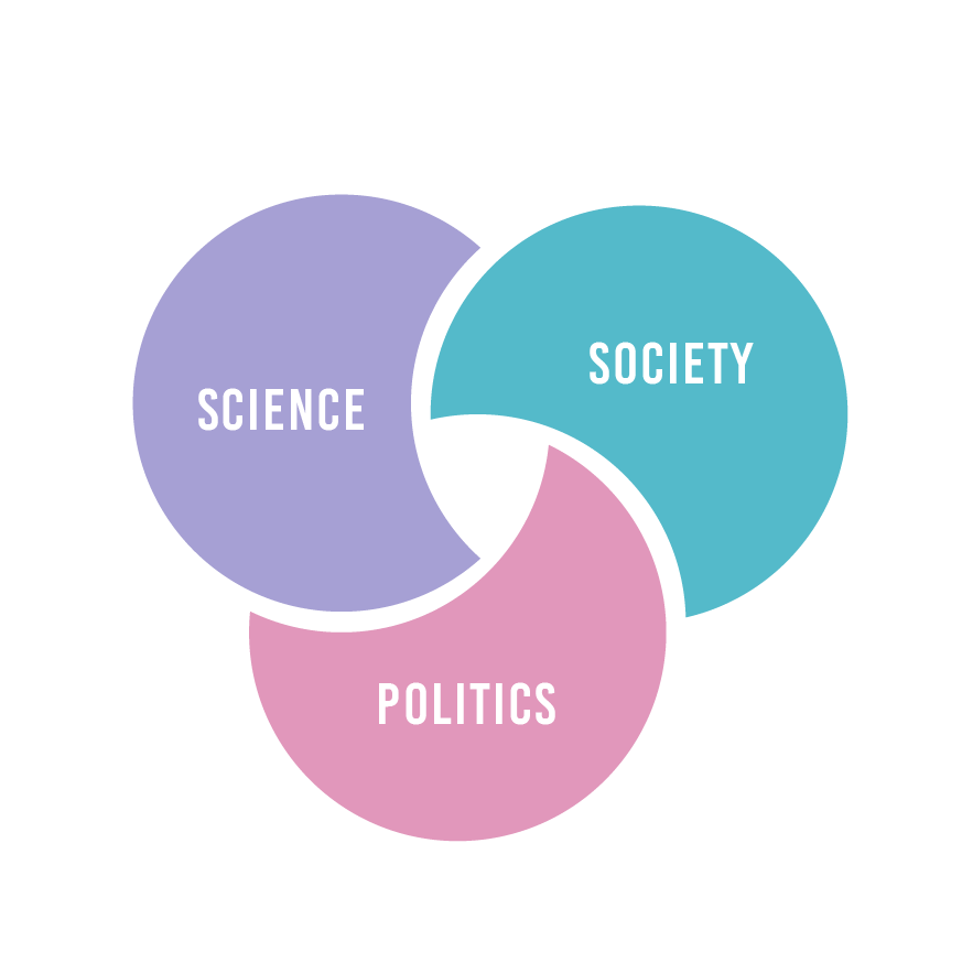Venn diagram with 3 sections: science, society, politics