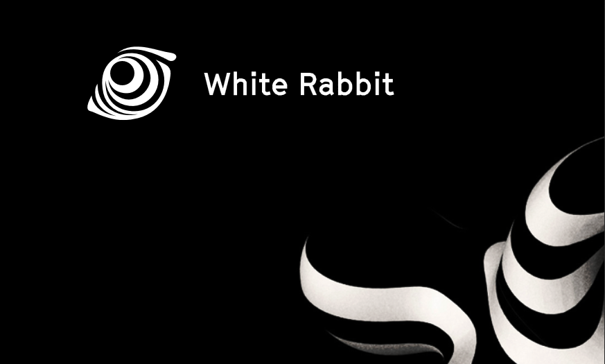 Image result for white rabbit blockchain
