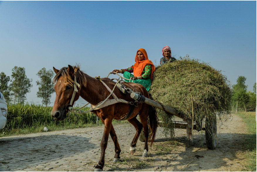 Members of India’s nomadic Qalandar Community. © Atul Loke / Panos Pictures