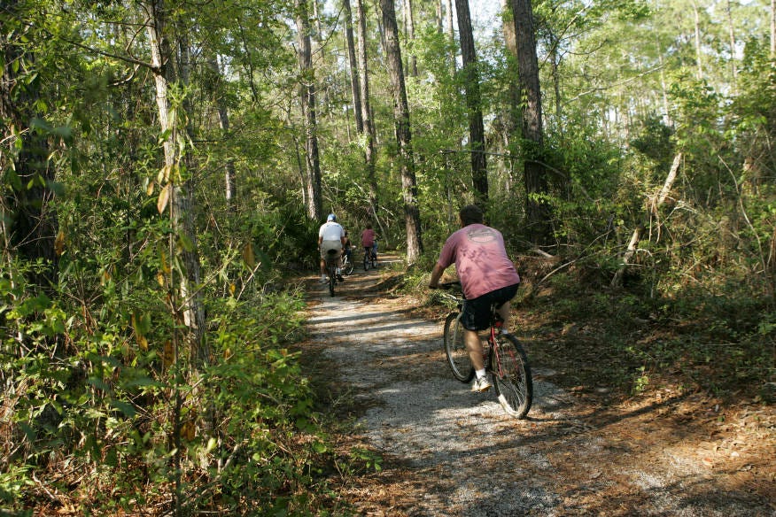 bikers on a nature trail