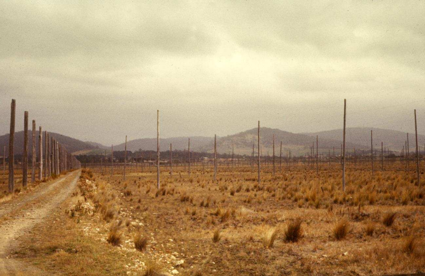 Photograph taken from the ground by the Llanherne Low Frequency Array, set in a field of dry grass and dirt. In the distance lies a line of hills under a grey sky. The array itself appears to be just rows of poles.