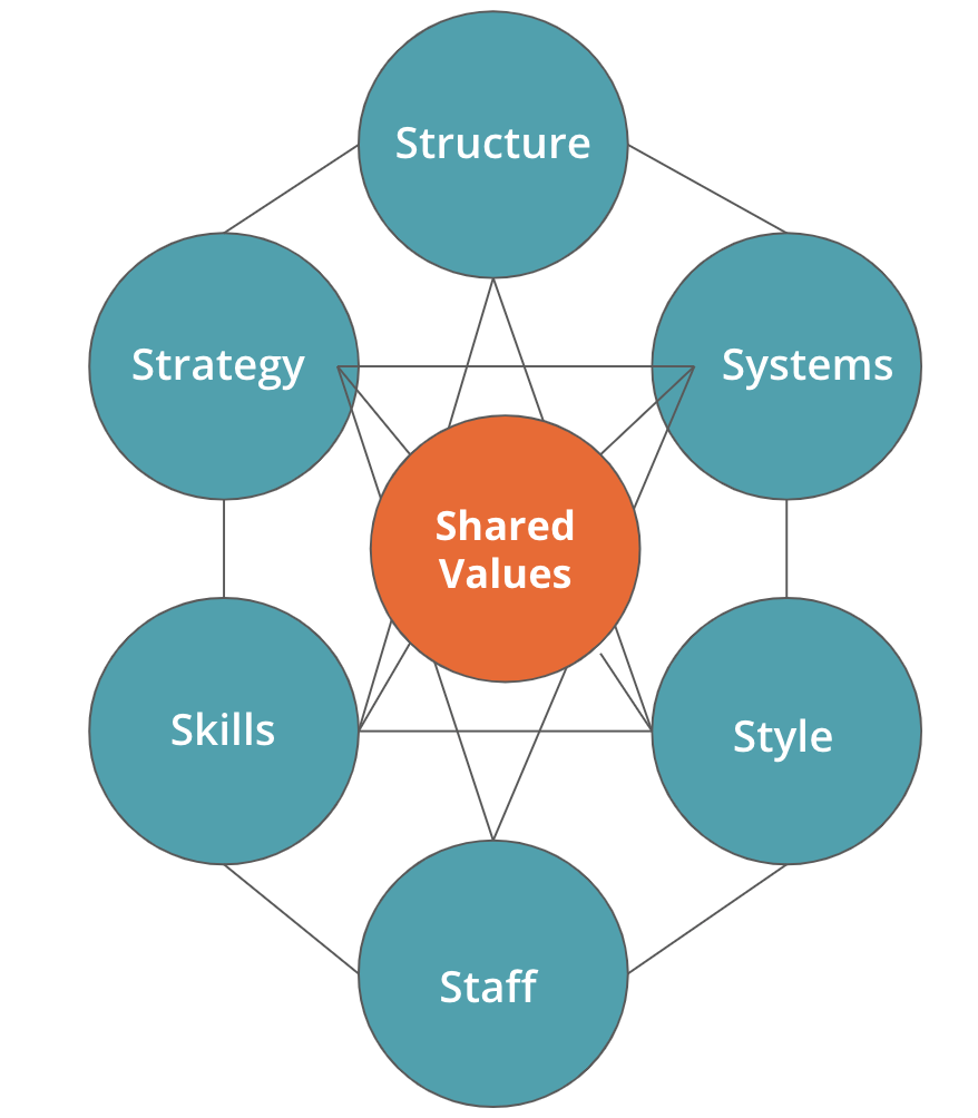Structure of McKinsey 7S Model — Structure, Strategy, Skill, System, Shared Values, Style, and Staff.