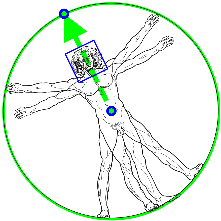 The vitruvius man, with markings on their face and torso of what the model keeps track of