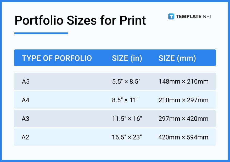 What is Portfolio Size? Understanding Its Importance