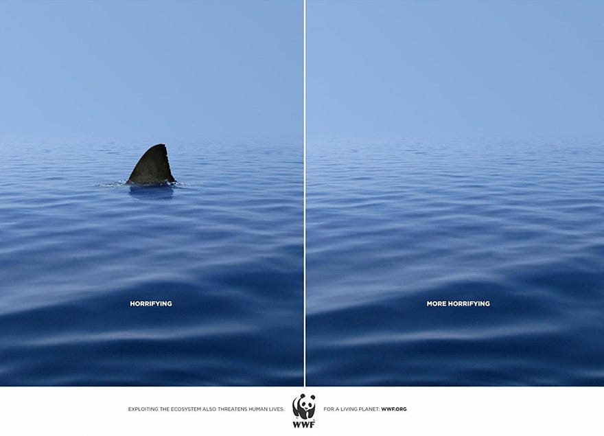 WWF advert: On the left, a shark fin breaks the surface of the sea, with the label “horrifying”. On the right, the sea is empty, with the label “more horrifying”
