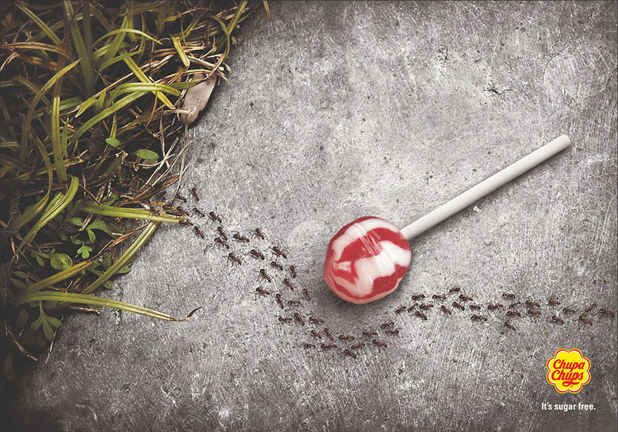 A discarded lollypop lies on the pavement. Nearby, an ant trail walks around the discarded candy, ignoring it.