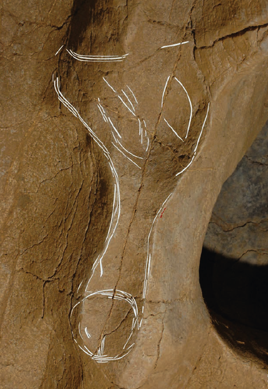 Close-up of hollow in cave wall, with white lines superimposed to show where a dangling penis appears to have been scratched into the wall. It is hanging down from the upper part of the picture, with an apparently circumcised glans towards to lower part