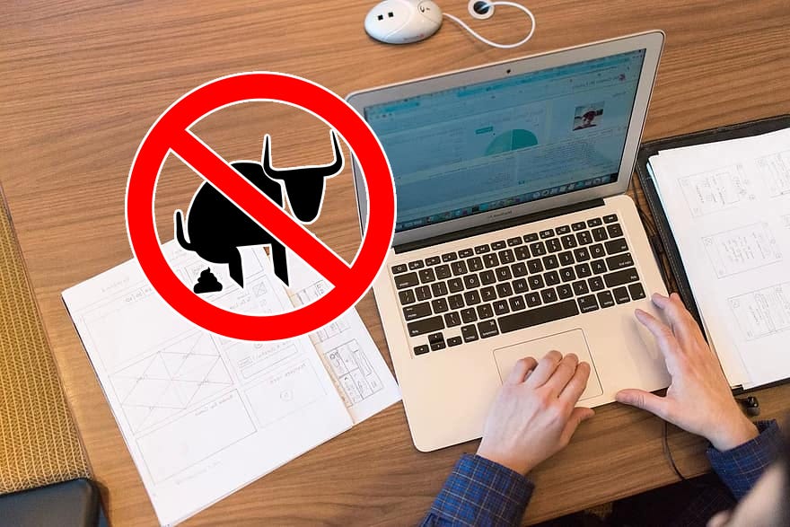 Person on computer with a no-bullshit sign