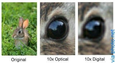 Digital Zoom May Not Be As Bad to Your Photographic Media As You Thought