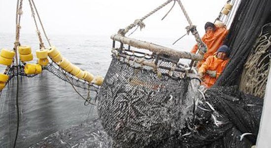 Industrial vs Small-Scale Fisheries: Time to Start Making Sense