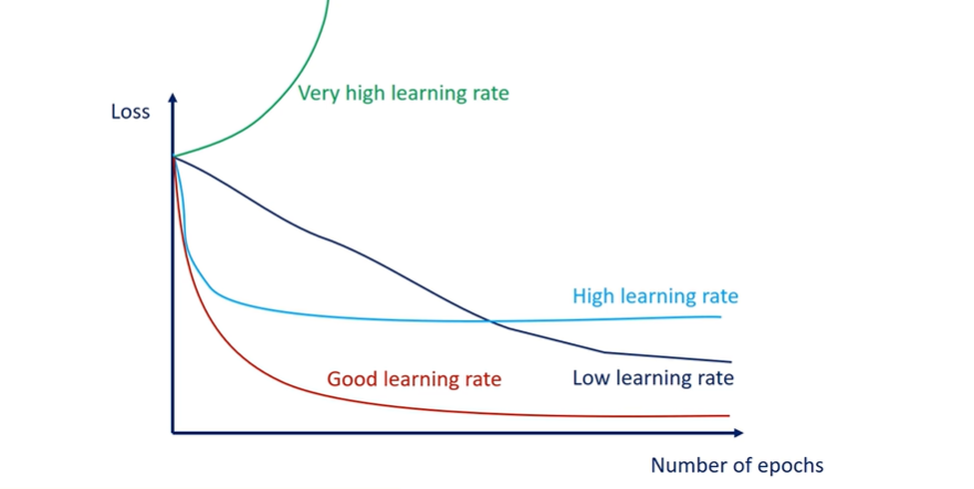 The Impact of Learning Rates