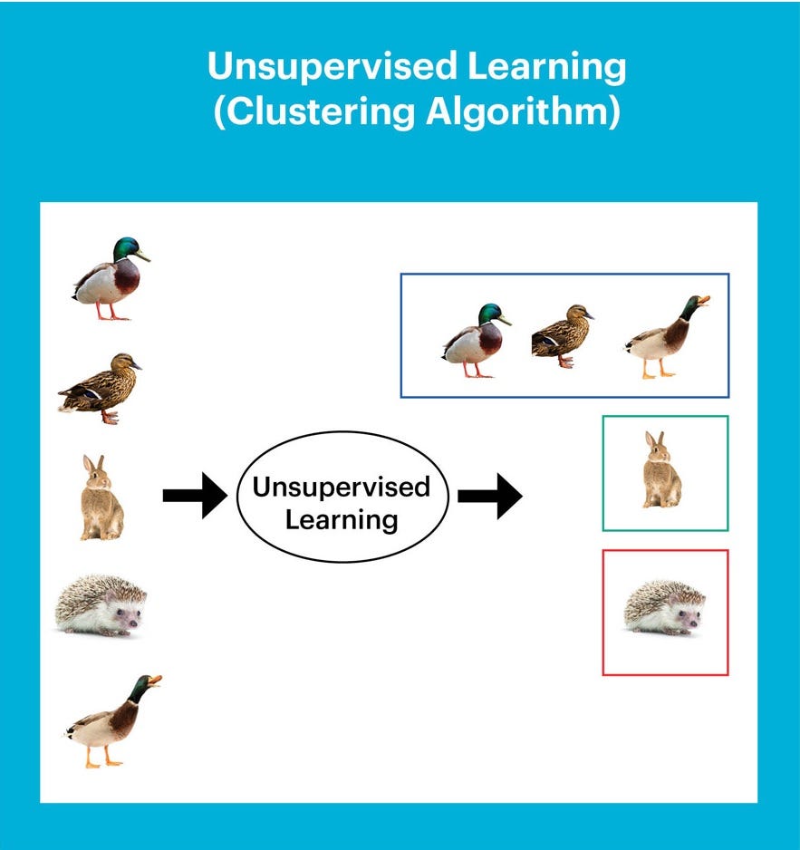 Machine Learning Vs Human Learning Part 1 | LaptrinhX