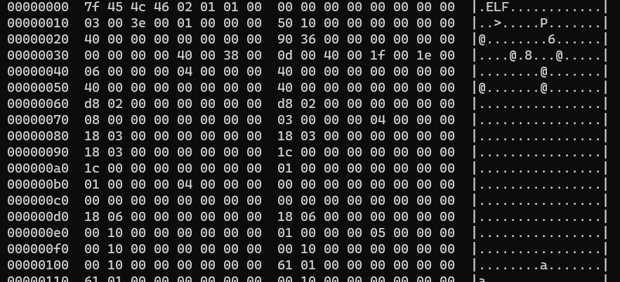 Hexdump of hello world program