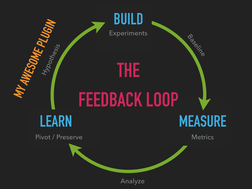 The feedback loop model