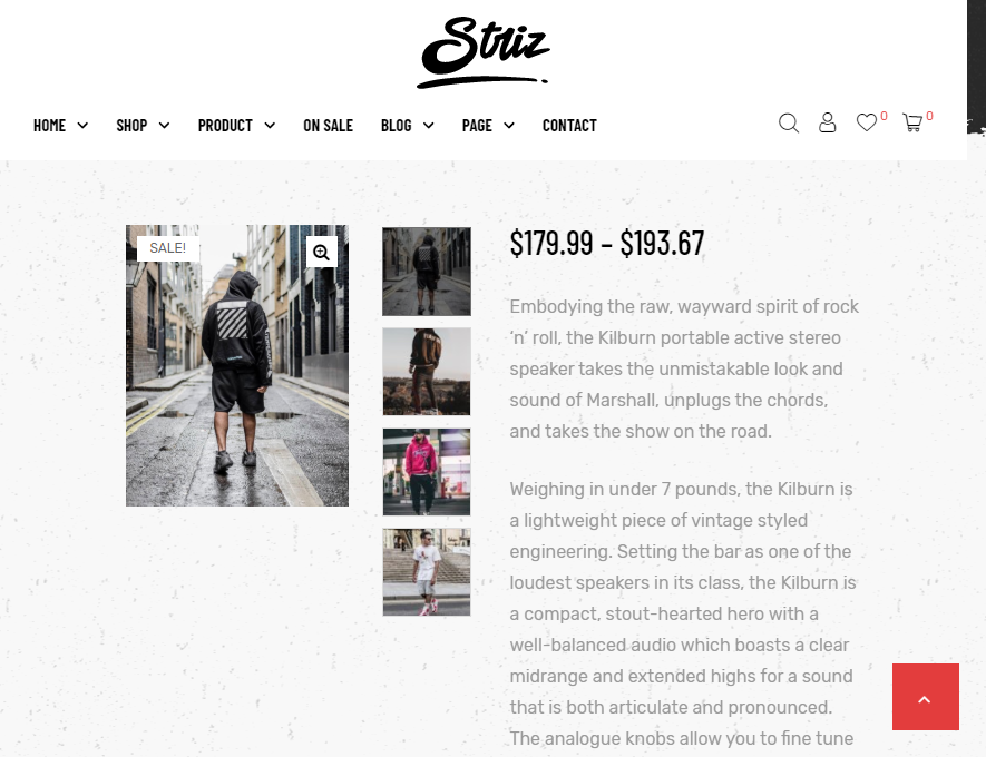 Striz — product website templates