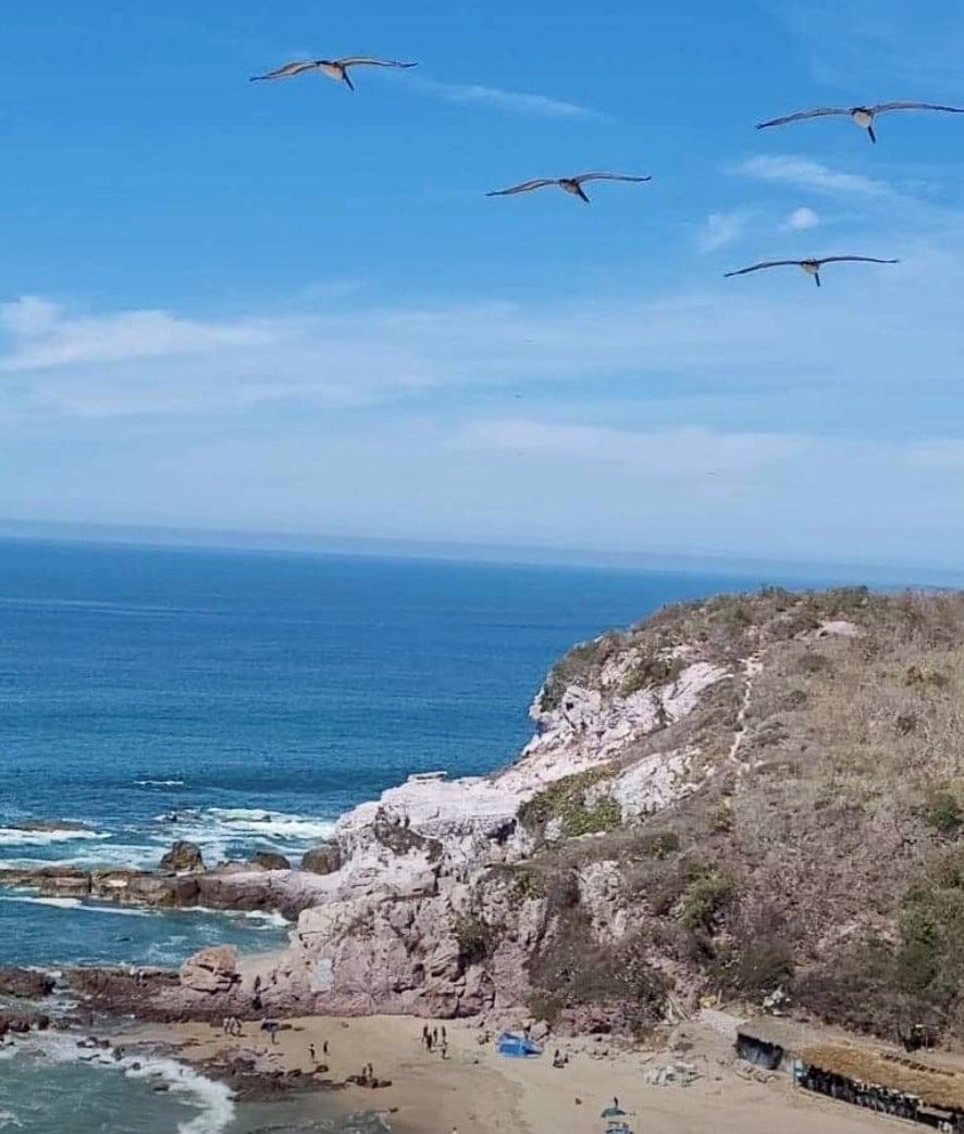 Photo of Pelicans soaring over a beach in Mazatlan. Photo taken by story author