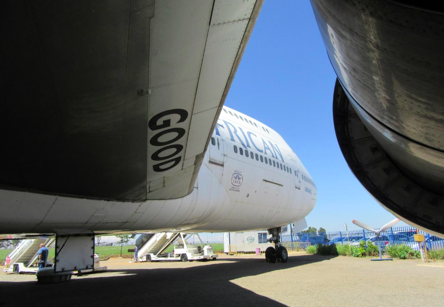 The View from Beneath the Wings