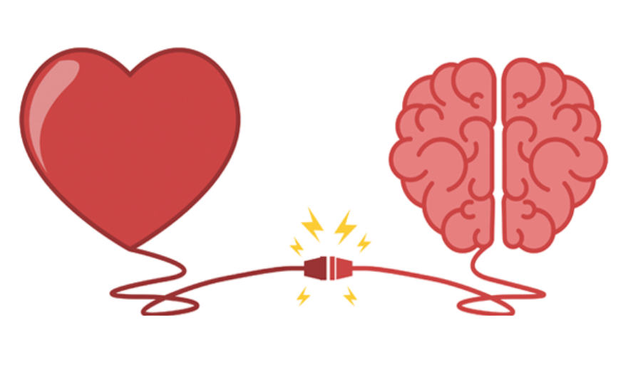 image of a heart wired into a brain