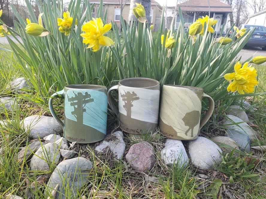 Three mugs surrounded by yellow daffodils.