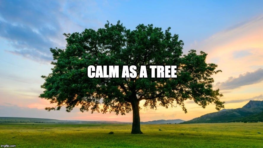 Calm as a tree