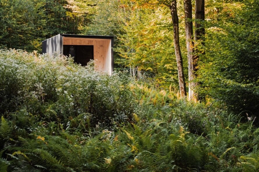 minimalist home in the forrest