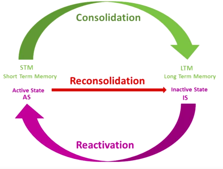 Reconsolidation diagram.