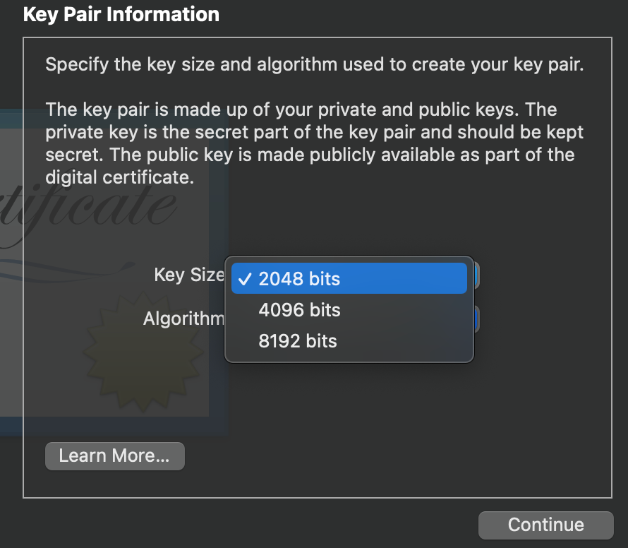 Encryption strength options