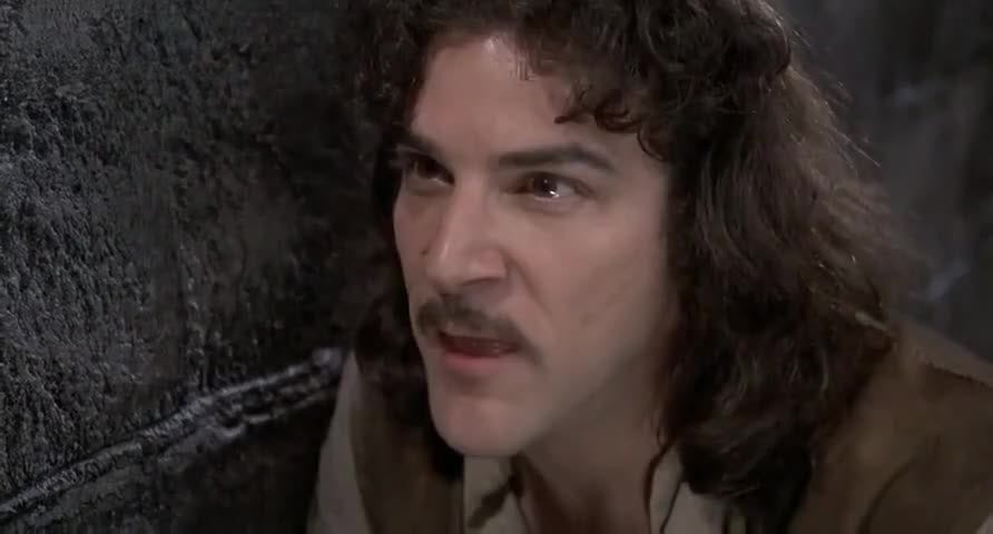 The Princess Bride’s Inigo Montoya says; “Let me explain. No, there is too much. Let me sum up.