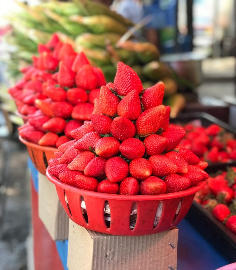 Strawberry in Mahabaleshwar-Panchgani