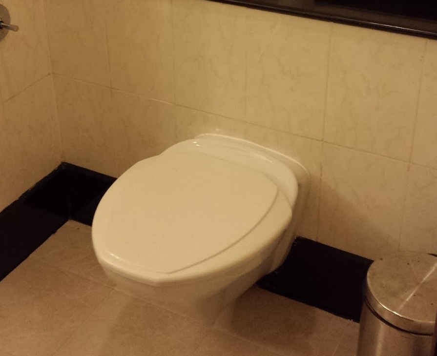 Picture of the toilet in my room at the Royal Orchid